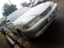 A picture of Mark II musota