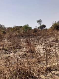 mwembeshi