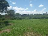 A picture of 7 ACRES OF LAND 0758873724