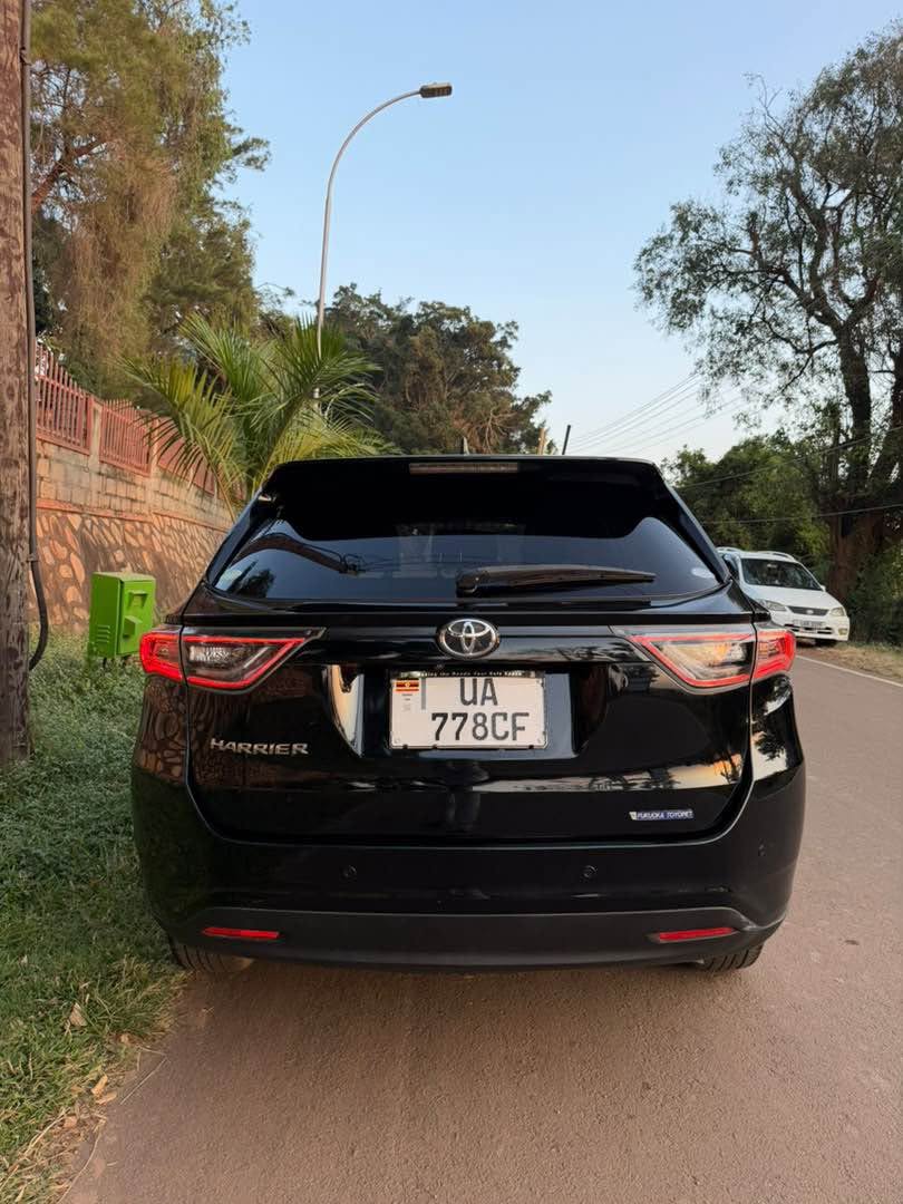 hybrid cars