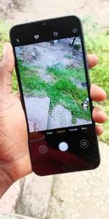 A picture of Realme c11
