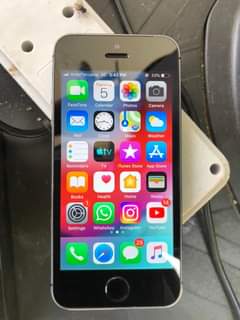 iphones 5s
