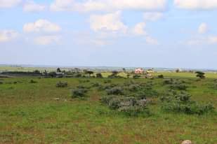 A picture of Prime Plots For Sale in Isinya