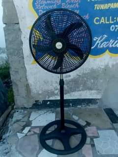 fans