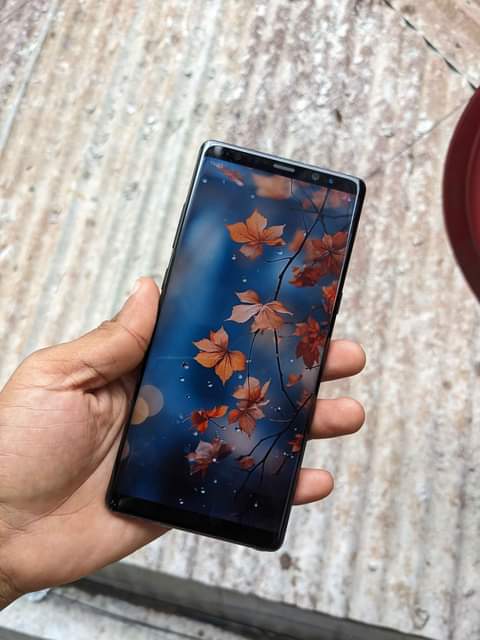 A picture of Samsung galaxy note8 double line