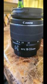 A picture of Canon