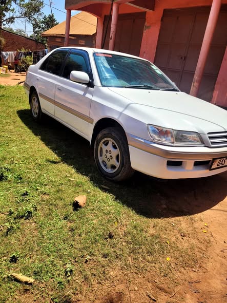 A picture of Toyota premio