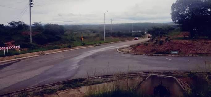 stands