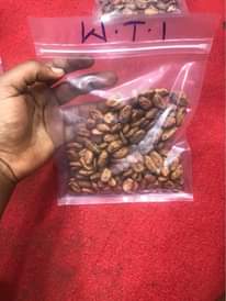 A picture of Cocoa bean