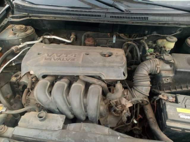 A picture of 2006 Corolla 06