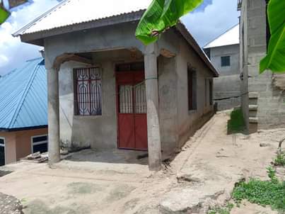 A picture of PANAUZWA PRICE MILION 6 5