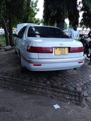 A picture of Premio old