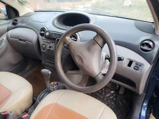 A picture of Vitz
