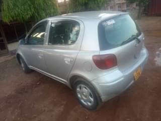 A picture of Vitz