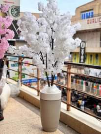 A picture of Artificial Plants and Flowers