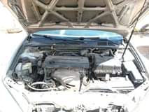 A picture of Camry big daddy
