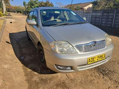 toyota corolla bubble