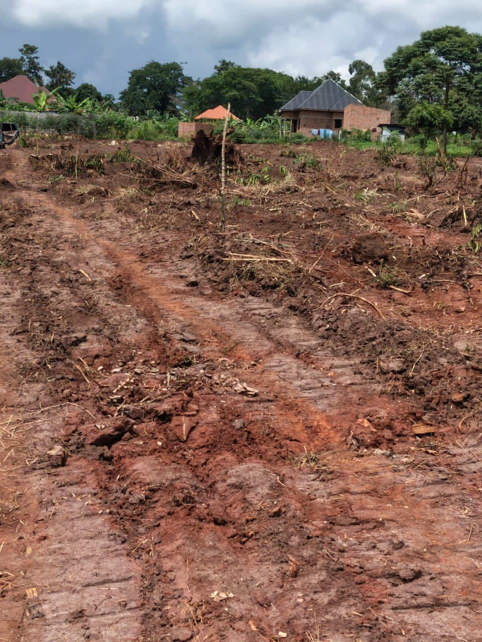 A picture of PLOT