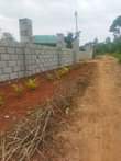 A picture of CHEAP PLOTS