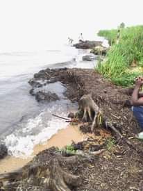A picture of 2 Acres Lake land Agreement Sale touching Lake Victoria Waters