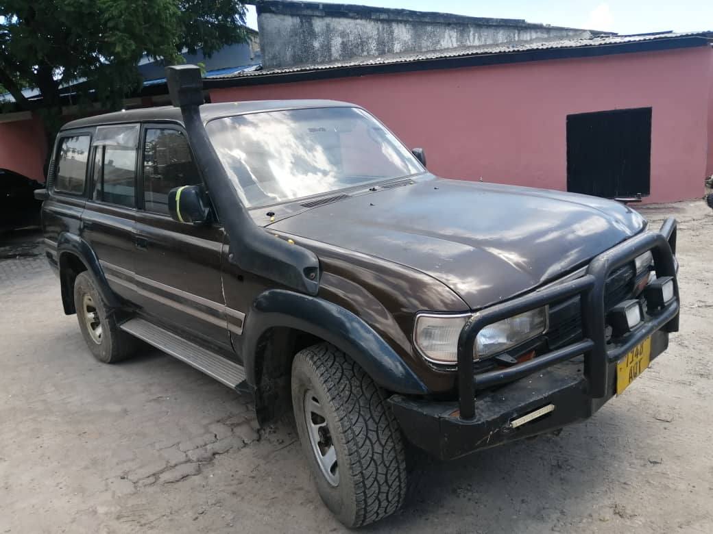 A picture of Landcruiser Amzon