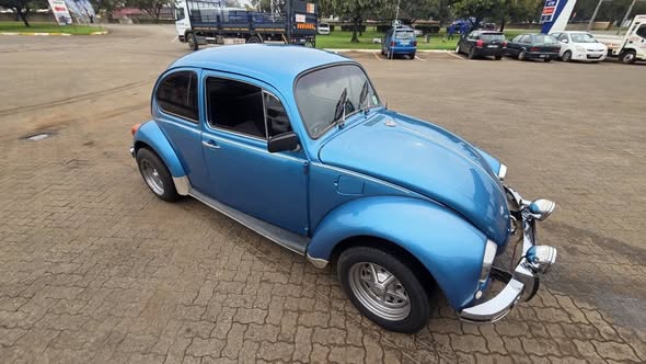 vw beetle