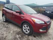 A picture of 2014 Toks Ford