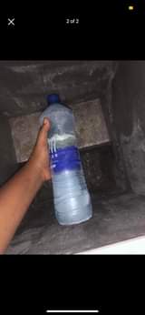 A picture of Friza