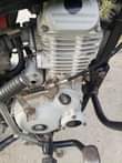 A picture of Boxer 125