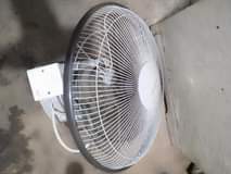 A picture of EVERNAL FENI INAUZWA