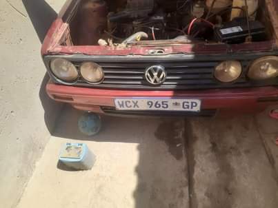 VW's F.