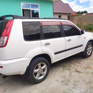 A picture of Nissan extrail