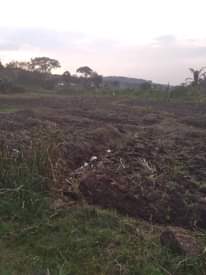 A picture of Plot for sale