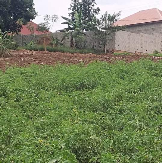 A picture of Commercial and residential plots