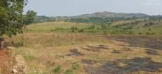 A picture of 10 ACRES OF LAND FOR SALE IN MUKONO SEETA AT