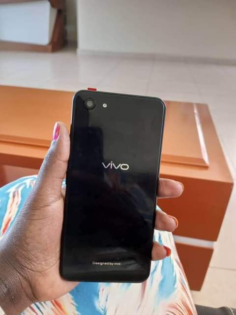 A picture of VIVO