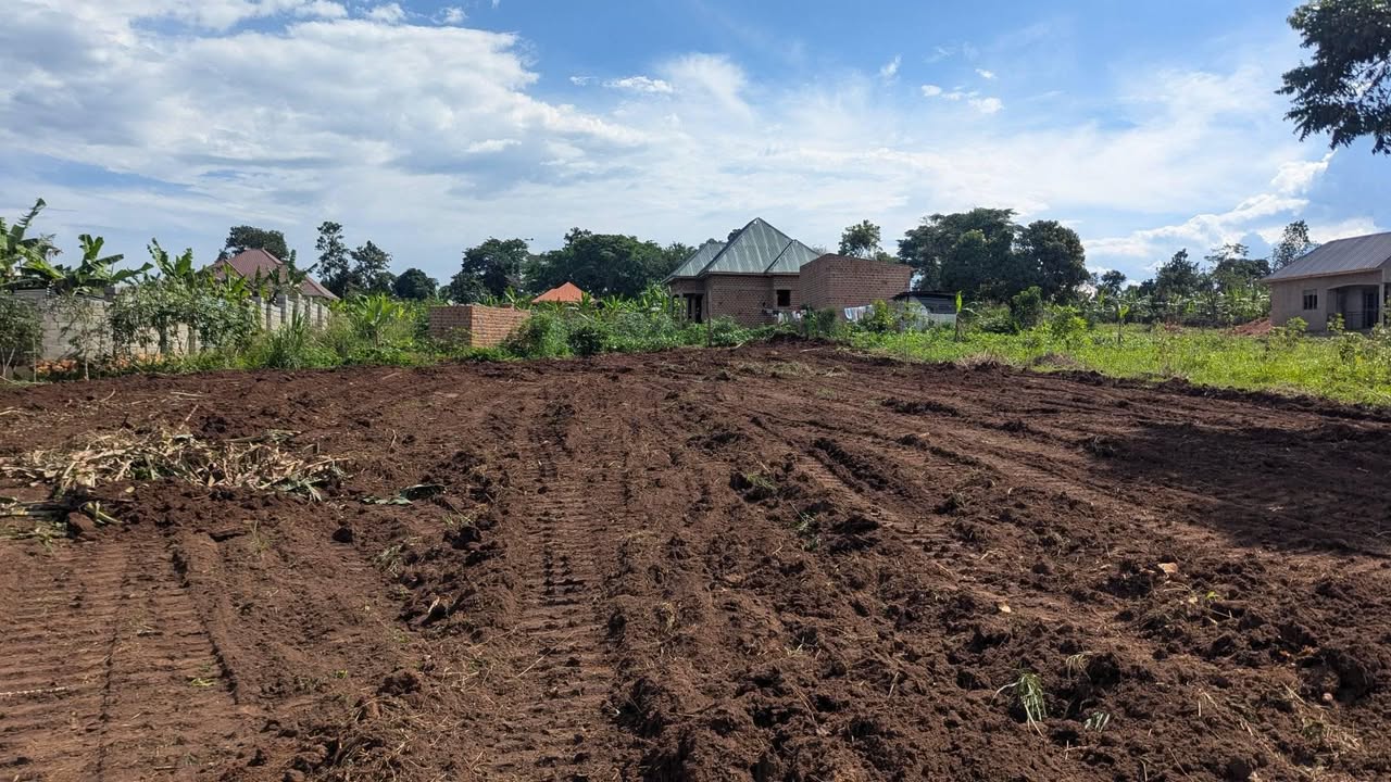 A picture of PLOTS AT WAKISO BUWASA Ready title 14M 0743362384 0782773949