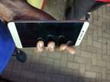 A picture of Le 2