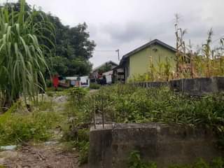 A picture of 0789160475