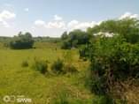 A picture of  200 Acres are available for sale in Kiboga Lwamagaali