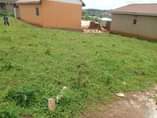 A picture of Plots for sale at Nabingo after Trinity college