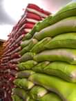 A picture of Tz super rice kawoowo