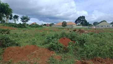 A picture of AFFORDABLE PLOTS FOR SALE IN NAMAYUMBA