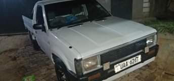 Omulongo M.