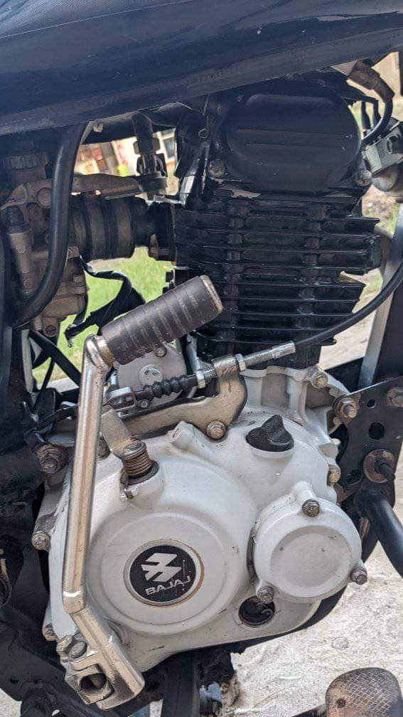 A picture of boxer cc125 BM