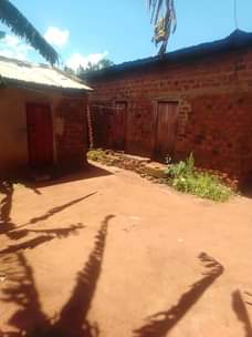 A picture of Land