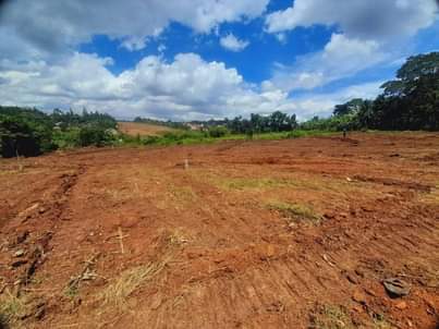 A picture of 50 100FT TITLED PLOTS WITHIN WAKISO FOR AS LOW AS