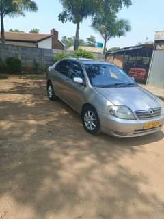used toyota corolla
