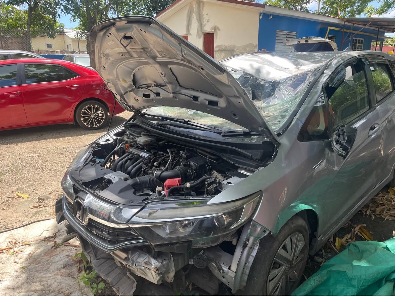 car shocks