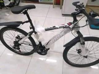 Lipa M.